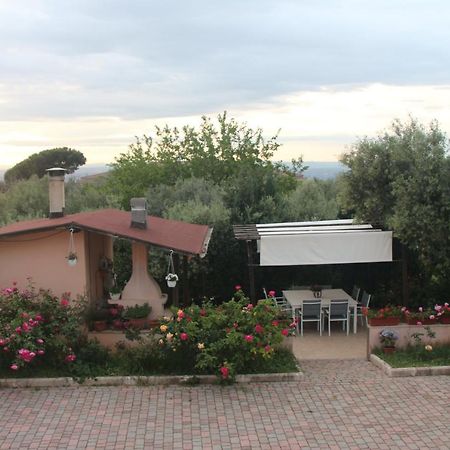 B&B La Terrazza Di فراسكاتي المظهر الخارجي الصورة