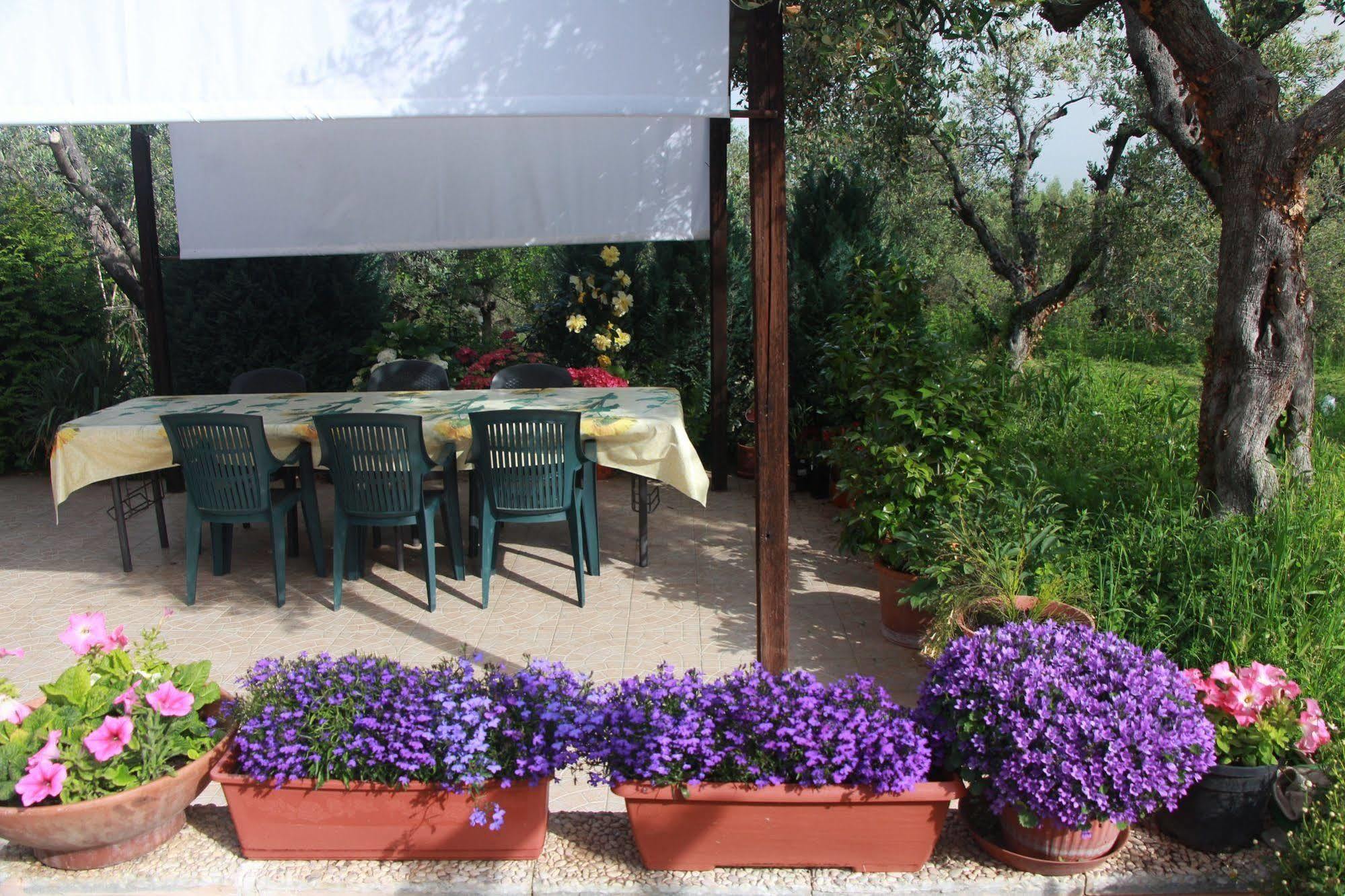 B&B La Terrazza Di فراسكاتي المظهر الخارجي الصورة